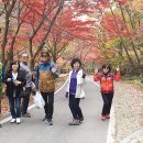 단촌초등학교 이미지