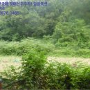 내서읍146 이미지