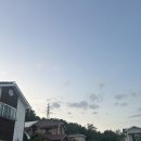 한국전력공사 김해지점 | 인생 첫 마라톤 후기