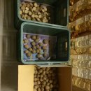 계촌 농장 이미지