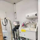 꼬미네 펫샬롱 애견미용 | 관저동 애견미용잘하는 &#34;꼬미네 펫샬롱 애견미용&#34; 을 소개해요^^