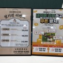 슬기로운 댕댕 유치원 이미지