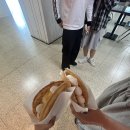 필서점 | 6월 이미 누가 낚아채갔네요!아욱! 아까바! 내가 찜했는데,한발 늦었어요! 이런 제기랄!