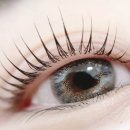 모다브로우 이미지