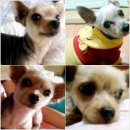 도봉-도봉-2010 이미지