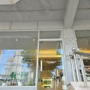 가성비 좋은 창원 성산구 사파동 사파동성당 근처 디저트 카페 : 그레이핍플 창원사파점