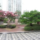 명품 공인중개사사무소 이미지