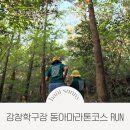 강창학종합경기장-인라인경기장 | 서귀포 강창학구장 동아마라톤코스 달리기