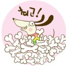 댕댕이냥냥 이미지