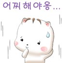 에스디에너지
