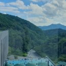 포레스트 리솜 이미지