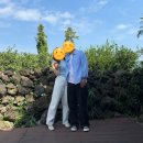 드랑드랑 | 제주 드랑드랑 | 감귤밭이 예쁜 제주공항 근처 가성비 감성숙소