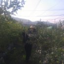 남규농장 이미지