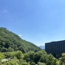 720 | 제천 리솜 포레스트 1박 2일 , 해브나인 스파와 더그릴720 바비큐 솔직 후기