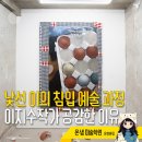 연금술사 작업실 협동조합 | 낯선 이의 침입이 예술이 된 과정, 제가 이지수 작가의 '얄팍한 위장막'에 깊이 공감한 진짜 이유