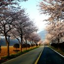 바람난농부