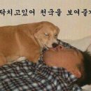 놀자 - 부평구 열우물로 26 | 놀자