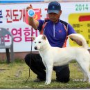 까치애견농장 이미지