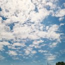 성주호 파크골프장 이동식화장실(쪽문) | 경북 성주 계곡_성주 포천계곡,무흘계곡 답사 후기