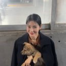 강아지정류장 이미지