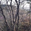 곡성-244 이미지