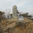 하사촌1 네이버블로그