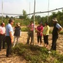 호현농장 이미지