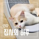 집사의 하루 일산점 이미지