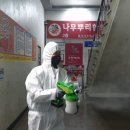 리틀차이나중국어학원 이미지