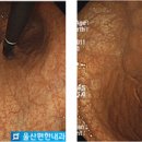 울산편한내과의원 이미지