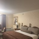 카우모텔 | 샌프란 무료주차 가능 가성비 호텔 카우 할루우 인 앤 스위트 Cow Hollow Motor Inn 투숙후기
