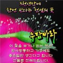 백년동안 Daum카페