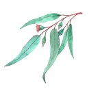 루아(RUAH)