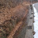 묵호초등학교 Daum카페