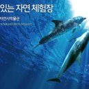 해양자연사박물관 이미지