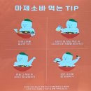 판코배곧점