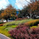 은빛공원 이미지