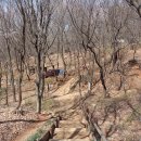 계남근린공원 이미지