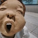 지뮨화장품