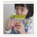 ㈜안전개발 | 유치원 선물 어떤 걸로? 유치원 답례품 추천 홍이장군1단계 후기