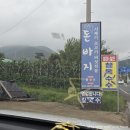 기장철마 삶은찰옥수수집 내돈내산 후기 (풍년농원)