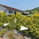 양곡1리 마을회관 이미지