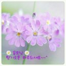 좋은시간 이미지