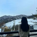 아침봄빵집 | 가평 1박2일 여행 코스 | 아침고요수목원 빛축제 · 카페 · 펜션 추천