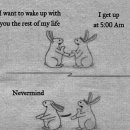 데일리푸드 이미지