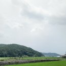 아라애쌈밥 이미지