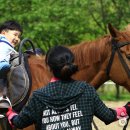 문경승마클럽 이미지