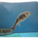 복청 - 파주시 와동동 | 복청
