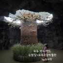 반디랜드 제2주차장 야외 | 무주 반디랜드 수영장 곤충박물관 동물체험 솔직후기! 아이랑 하루 종일 놀기 좋은 무주 여행 코스...