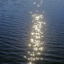 윤슬중학교 이미지